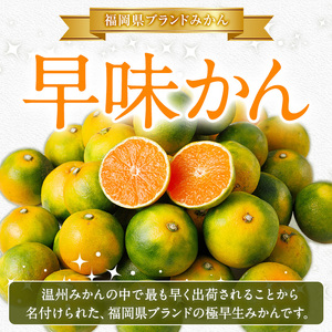 ＜先行予約受付中！2026年9月中旬以降順次発送予定＞福岡県ブランドみかん 早味かん(計約5kg) みかん ミカン オレンジ 蜜柑 はやみかん 温州 極早生 ブランド 柑橘 果物 くだもの フルーツ 生 国産 冷蔵 【農産物直売所ほたるの里】as52-035