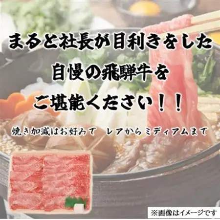 【飛騨牛】赤身スライス(すきやき・しゃぶしゃぶ用)300g×2パック【配送不可地域：離島】【1721849】