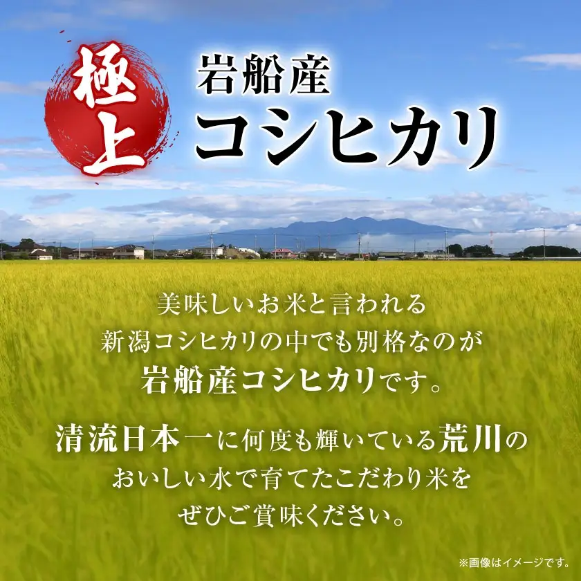 R7年産 [極上]安心こだわり米 岩船産コシヒカリ玄米12kg(3kg×4袋)[百姓屋]【1720557】