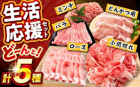 【全4回定期便】 瀬戸豚 生活応援セット 計5kg / 豚肉 豚バラ しゃぶしゃぶ ミンチ セット 小分け / 瀬戸市 / 関屋精肉店[BBBQ229]