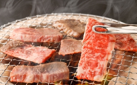 熊本あか牛特撰カルビ 約500g 肉 お肉 ニク にく 食肉 牛肉 牛 あか牛 国産 熊本県産 ヘルシー 焼肉 焼き肉 BBQ バーベギュー カルビ 冷凍