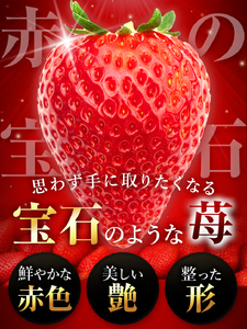 【栃木県共通返礼品】いちご 完熟とちあいか とちあいか ギフトボックス 贈答用 30粒 下野市　
