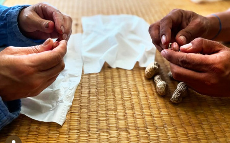 沖縄の味を一日体験 〈落花生収穫～ジーマミー豆腐作り〉1名様