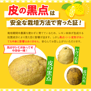 【2026年6月～発送】栽培期間中農薬不使用　大和レモン 4.5kg【クール便】ku044-026-25