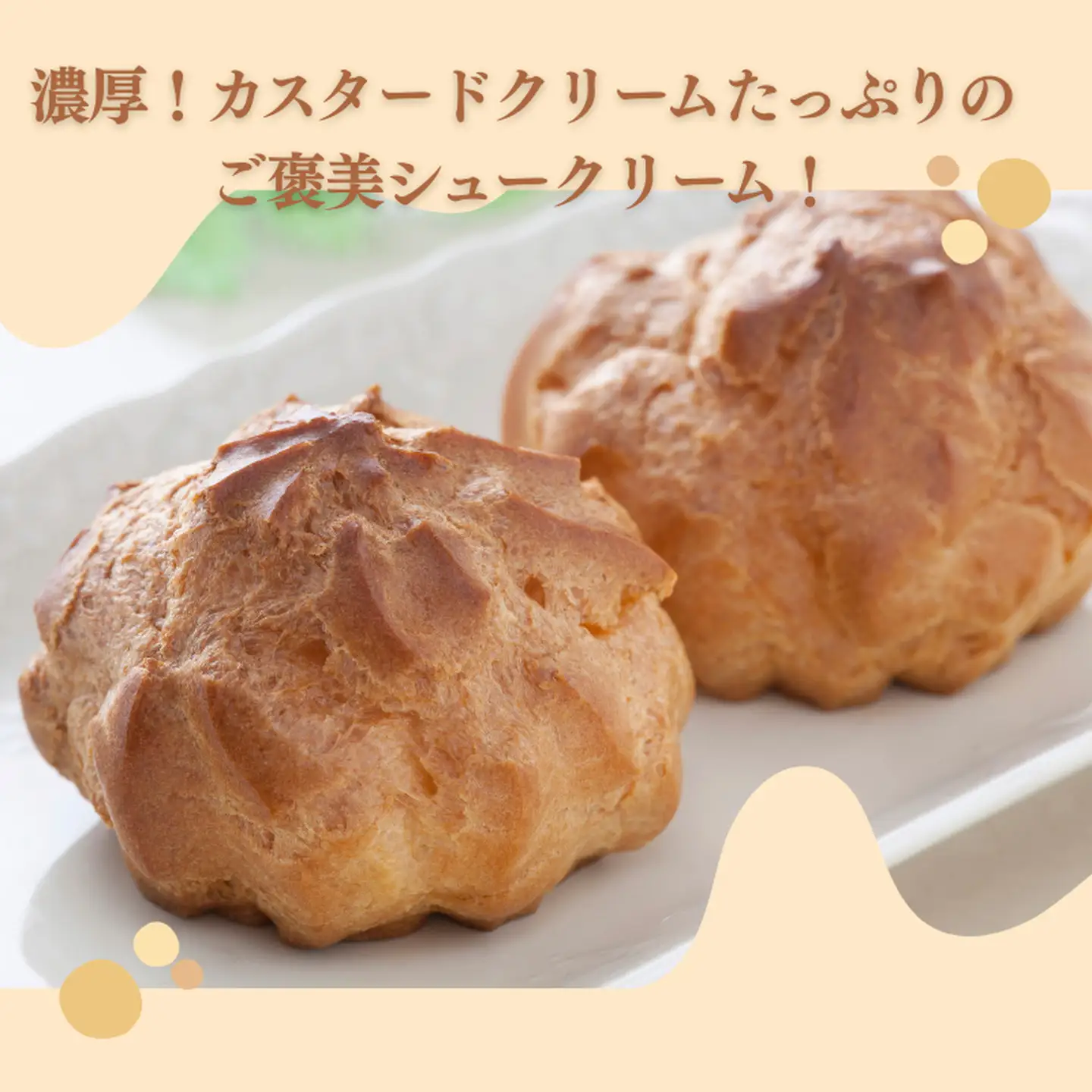 【ふるなびWEEK対象】ハルツのシュークリーム 10個：A095-055