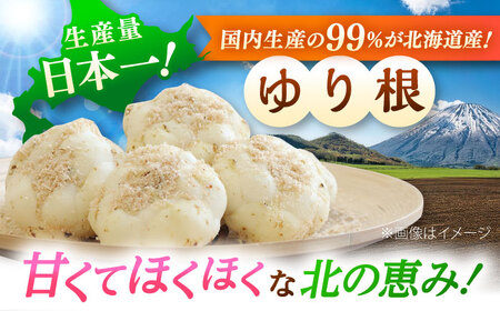 【2026年11月上旬以降発送】 ゆり根 Lサイズ 約2kg | ゆり根 ゆりね 野菜 冬野菜 産地直送 北海道 | 道の駅 真狩フラワーセンター[BPAM002]