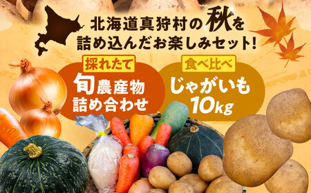 【2026年11月下旬以降発送】 秋の味覚セット（大）（じゃがいも10kg・旬の農産物詰め合わせ） | 野菜セット 野菜 じゃがいも 詰め合わせ 旬の野菜 セット 食べ比べ 北海道 | 道の駅 真狩フラワーセンター[BPAM004]