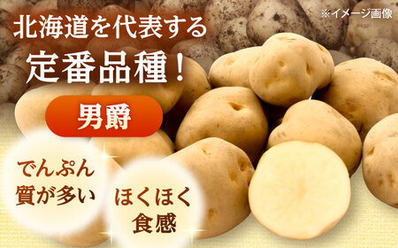 【2026年10月中旬以降順次発送】 じゃがいも 男爵（まっかりじゃが）5kg | じゃがいも ジャガイモ 男爵 野菜 北海道 産地直送 | 道の駅 真狩フラワーセンター[BPAM016]
