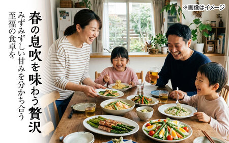 【2026年5月下旬以降順次発送】 グリーンアスパラ 2kg  |  アスパラ アスパラガス 野菜 やさい 北海道 産地直送 |  道の駅 真狩フラワーセンター[BPAM018]