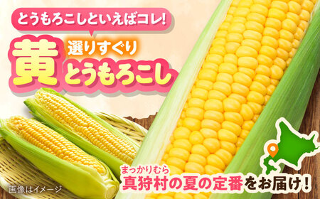 【先行予約】とうもろこし 黄 5kg  [BPAM020] とうもろこし