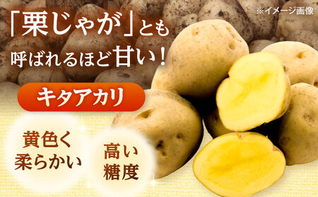 【2026年10月中旬以降順次発送】 じゃがいも キタアカリ （まっかりじゃが）10kg  |  じゃがいも キタアカリ 野菜 やさい 北海道 産地直送 |  道の駅 真狩フラワーセンター[BPAM025]