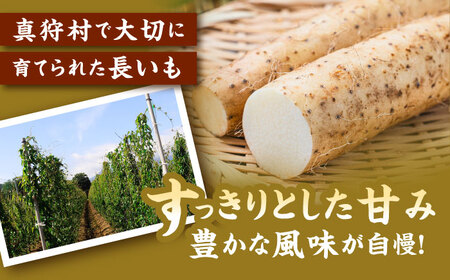 【2026年11月下旬以降順次発送】秋掘り 長いも 5kg  |  長いも 秋野菜 野菜 やさい 北海道 産地直送 |  道の駅 真狩フラワーセンター[BPAM026]