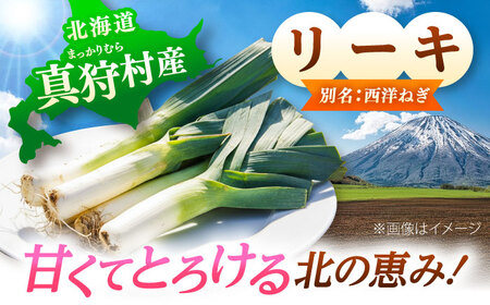 【2026年10月中旬以降順次発送】 リーキ 3kg | 野菜 ネギ ねぎ ポロネギ 西洋ねぎ リーキ | 道の駅 真狩フラワーセンター[BPAM045]
