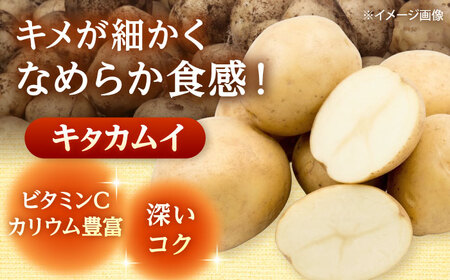 【2026年11月上旬以降順次発送】 じゃがいも キタカムイ（まっかりじゃが）5kg | 野菜 じゃがいも ジャガイモ キタカムイ 北海道 産地直送 | 道の駅 真狩フラワーセンター[BPAM048]