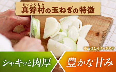 【2026年10月上旬以降順次発送】 玉ねぎ 5kg | 野菜 玉ネギ たまねぎ やさい 北海道 産地直送 | 道の駅 真狩フラワーセンター[BPAM079]