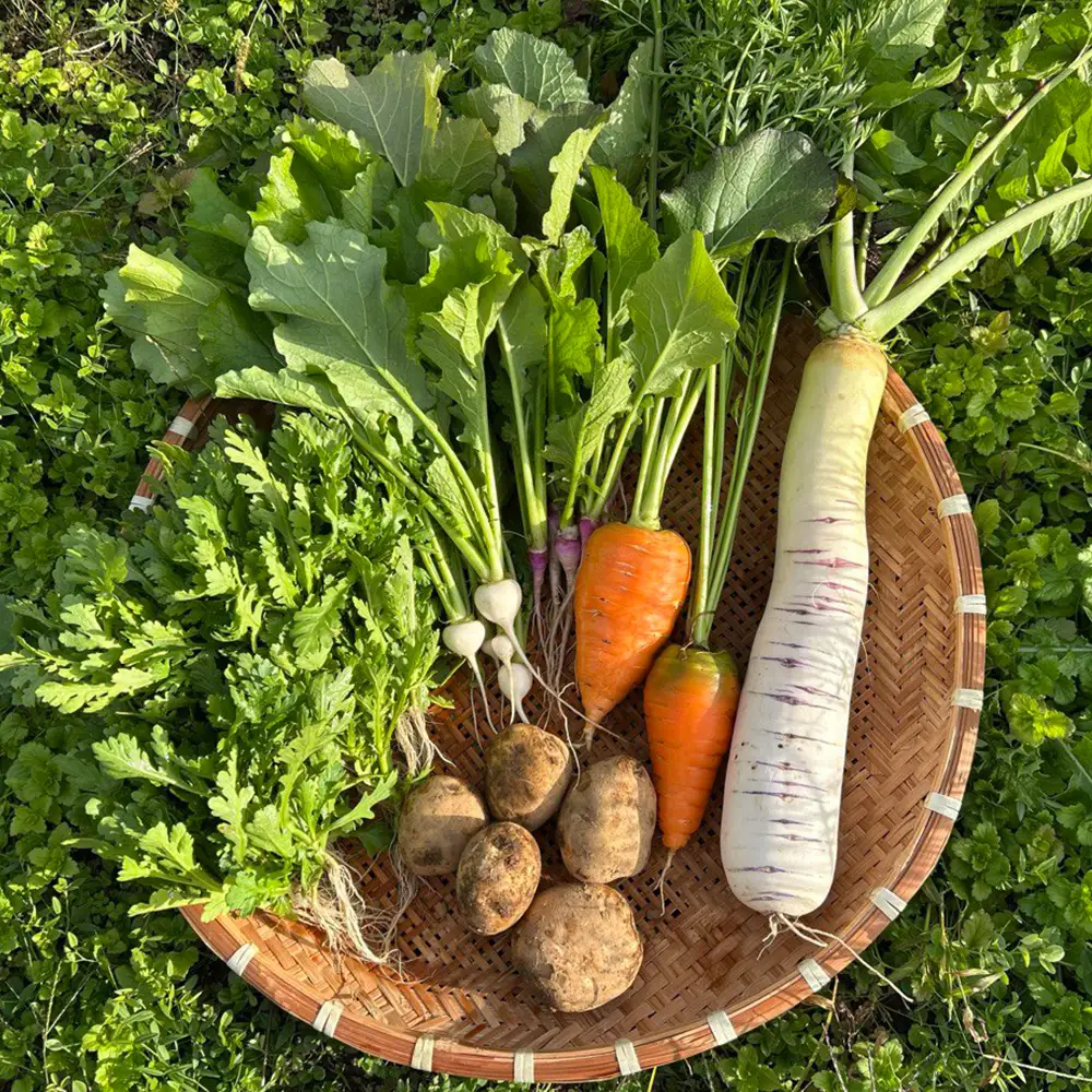 先行予約！2026年8月上旬より順次発送【自然農法】季節のお野菜セット　【07208-0805】