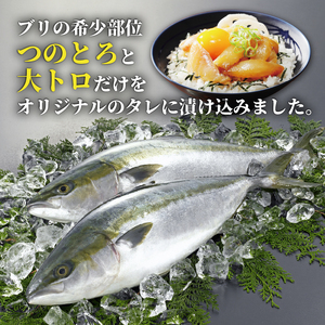 希少部位のみ ブリの漬け丼 100g 10パック つのとろ 大トロ ぶり 鰤 漬け 漬け丼 希少部位 希少 トロ 小分け 冷凍 カンタン ごはん の お供 アレンジ イタリアン バスタ パン フランスパン アレンジ サラダ パスタ 簡単調理 簡単 魚 さかな 和食 洋食 晩ご飯 お酒 つまみ 丼 どんぶり丼物 ハマスイ 愛媛県愛南町 愛媛県 愛南町