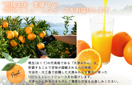 島猫蜜柑ジュース 720ml×2本セット【V003830SET2】