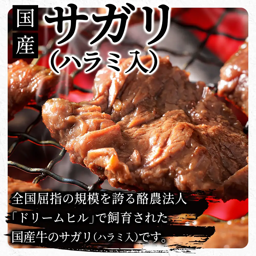 国産 味付き サガリ ハラミ 焼肉 計1kg（250g×4袋） 小分け 個包装 北海道 牛 肉 牛肉 キャンプ アウトドア バーベキュー BBQ 冷凍