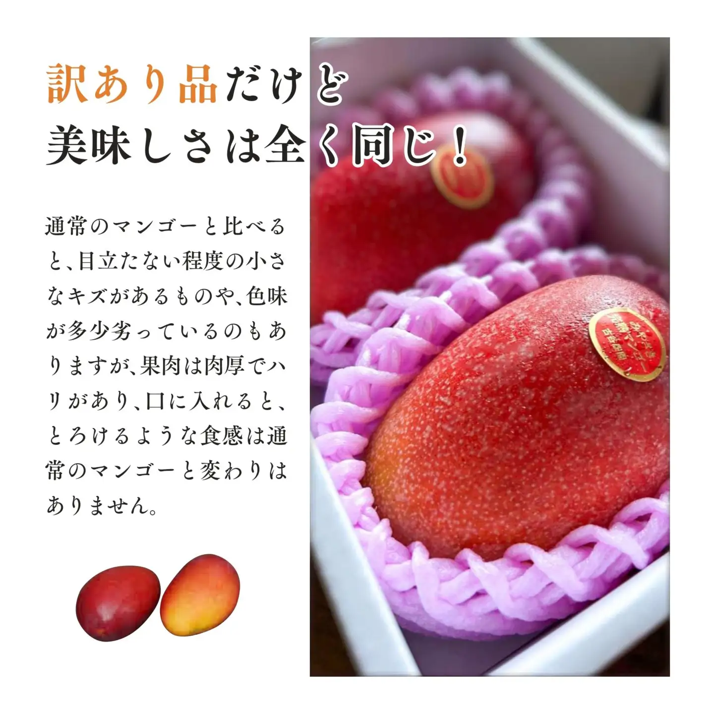 訳あり 古谷農園 宮崎完熟マンゴー B級品 2L×2個 ご家庭用 旬 トロピカル フルーツ 果物 宮崎県産