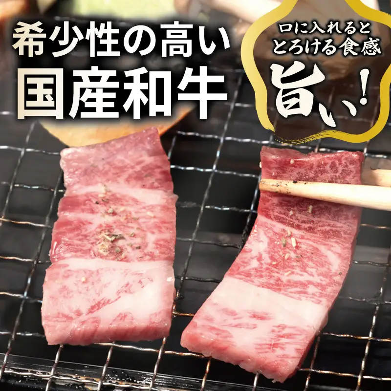 A5ランク 国産和牛 肩ロース 焼肉用 オリジナルスパイス 合計1.2kg（300g×4P）