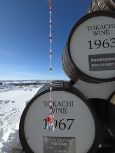 サンキャッチャー（ロゼ） お部屋用 北海道 池田町 いけだワイン城 オリジナル クリスタル インテリア 窓飾り 天然石 クリスタル アクセサリー ギフト