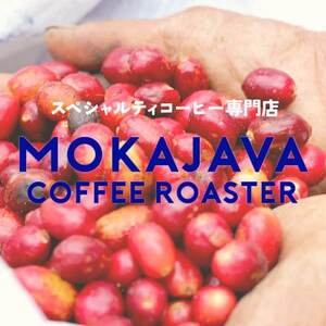 スペシャルティコーヒー 各100g×4種 計400g(豆のまま)【1573890】