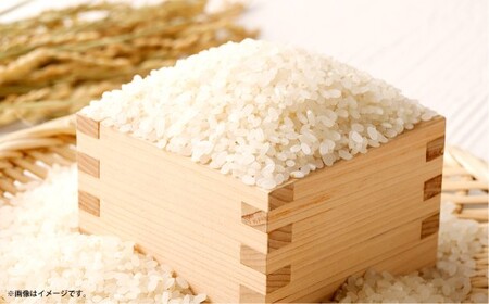【 令和7年産 】 岡山県産あきたこまち 10kg （ 5kg × 2袋 ） お米 米 コメ こめ ご飯 白米 白飯 飯 あきたこまち 国産 岡山県産