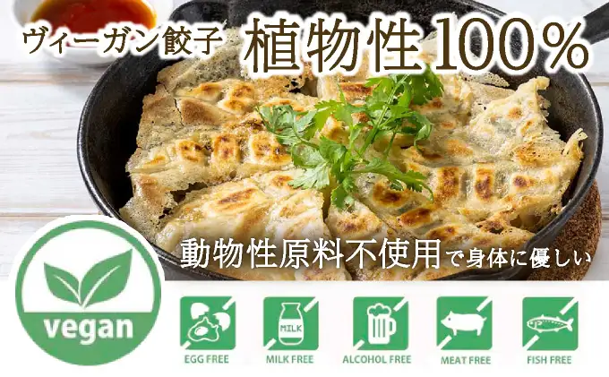 PEACEFUL GYOZA（ピースフルぎょうざ）ギフト3折セット　(18個入り×3箱)