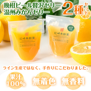 i982-A-f 【父の日ギフト】温州みかんゼリー・晩柑ピール 贅沢ゼリー 2種セット(計6個) ゼリー みかん ミカン 蜜柑 温州みかん 果汁 100% 河内晩柑 ピール入り 無着色 無香料 安心安全 父の日 プレゼント ギフト 贈答 【江崎果樹園】