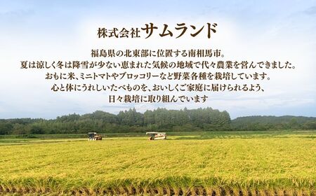 【定期便】にじのきらめき 白米15キロ (5kg×3回) 令和8年産｜定期便 精米 南相馬