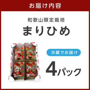 【1300】まりひめ4パック《先行予約》2027年1月～4月末まで順次発送予定【配送不可地域：北海道・青森・秋田・岩手・沖縄・離島】