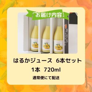 無添加 はるか ジュース 720ml 6本 ストレート 果汁 100% 柑橘 かんきつ 果物 くだもの 国産 こくさん フルーツ おやつ デザート 飲料 果汁 搾汁 厳選 瓶 瓶ジュース アレンジ アイス 減農薬 よりすぐり 人気 ランキング 春 夏 秋 冬 子供 から 大人 はるかジュース 蜜柑 みかん ビタミン 美味しい みかん職人武田屋 愛媛県 愛南町