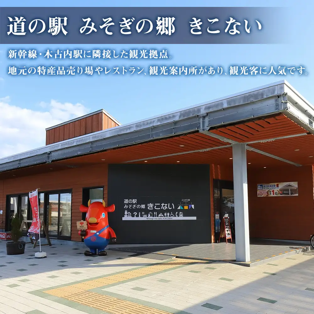 北海道 木古内町☆応援寄付金☆【返礼品なし】100,000円