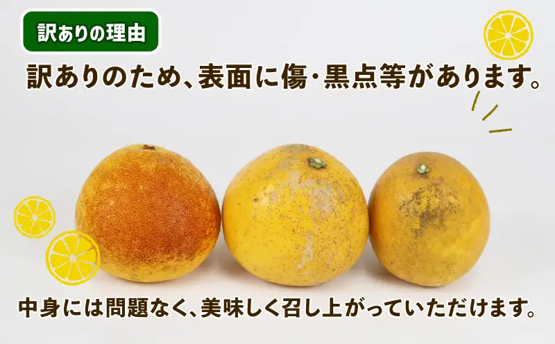 訳あり 河内晩柑 9kg 愛媛みかん まるはま農園 B010-202003