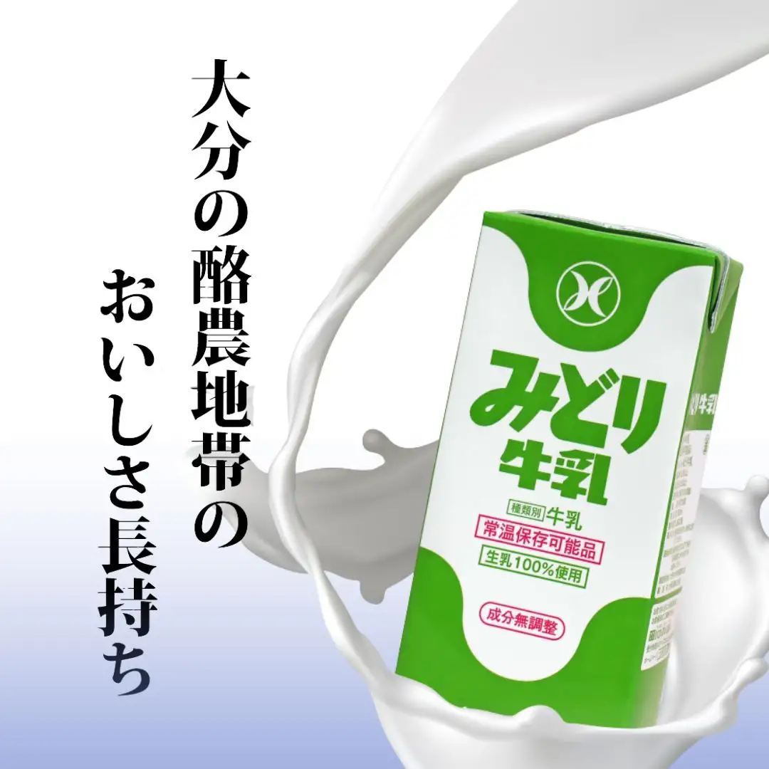 みどり牛乳 1000ml×12本 常温保存可能品 | 牛乳 1L 豊後高田市