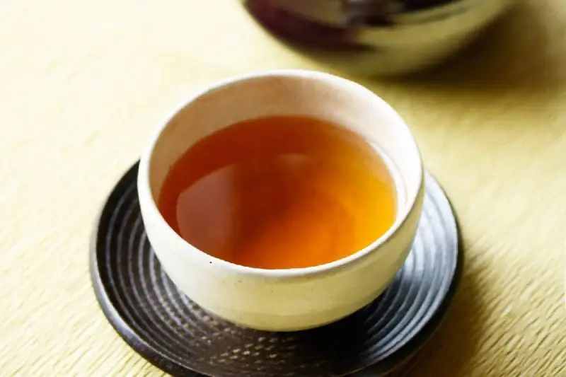 宇治・有機焙じ茶ティーバッグタイプ 3g×40個入×5缶〈有機 オーガニック 無農薬 お茶 ほうじ茶 焙じ茶 ティーバッグ ティーパック宇治 飲料 日本茶 加工食品 リラックス 茶缶〉