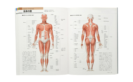 【講談社の大ロングセラー・累計77万部超】からだのすべてが一目でわかる！『新版 からだの地図帳』本 医学 ギフト 文京区 東京都