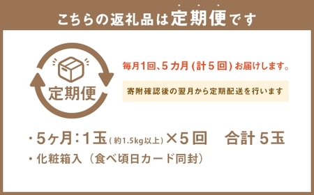 【5ヶ月定期便】 静岡県産 高級 アローマメロン 白等級 約1.5kg以上 × 大玉 1玉 メロン めろん 高級メロン フルーツ 果物 くだもの 定期便 静岡県 菊川市