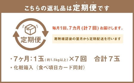 【7ヶ月定期便】 静岡県産 高級 アローマメロン 白等級 約1.5kg以上 × 大玉 1玉 メロン めろん 高級メロン フルーツ 果物 くだもの 定期便 静岡県 菊川市