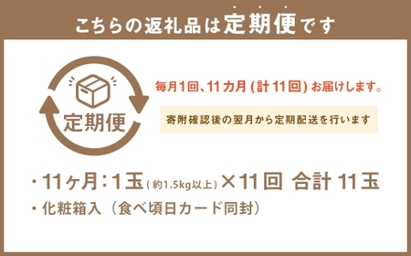 【11ヶ月定期便】 静岡県産 高級 アローマメロン 白等級 大玉 1玉 メロン めろん 高級メロン フルーツ 果物 くだもの 定期便 静岡県 菊川市