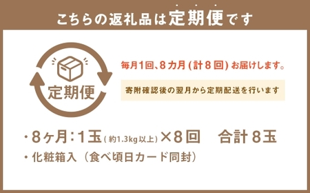 【8ヶ月定期便】 静岡県産 高級 アローマメロン 約1.3kg以上 × 山等級 1玉 メロン めろん 高級メロン フルーツ 果物 くだもの 定期便 静岡県 菊川市