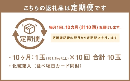 【10ヶ月定期便】 静岡県産 高級 アローマメロン 約1.3kg以上 × 山等級 1玉 メロン めろん 高級メロン フルーツ 果物 くだもの 定期便 静岡県 菊川市