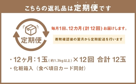 【12ヶ月定期便】 静岡県産 高級 アローマメロン 約1.3kg以上 × 山等級 1玉 メロン めろん 高級メロン フルーツ 果物 くだもの 定期便 静岡県 菊川市