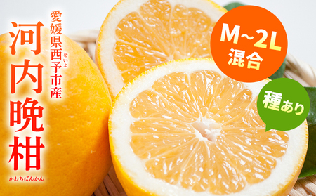 ＜愛媛県産 河内晩柑 約4.5kg（M～2L）＞ 柑橘 みかん フルーツ 和製グレープフルーツ ジューシー 初夏 旬 サイズ混合 西宇和 国産 さっぱり 甘い 農園オレンジとムラサキ 西予市【常温】『2026年4月～7月迄に順次出荷』MOM0005