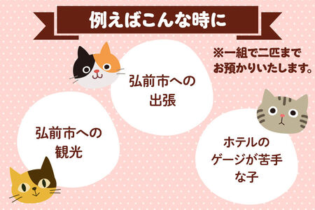 ペット ホテル【一日一組限定】キャットホテル 宿泊券 1泊 【レターパックライト】