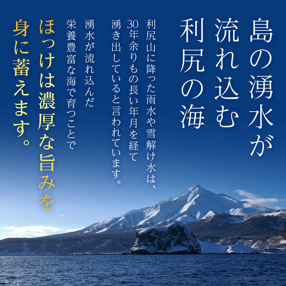 利尻島産 スティック真ほっけ 4パック＜利尻漁業協同組合＞