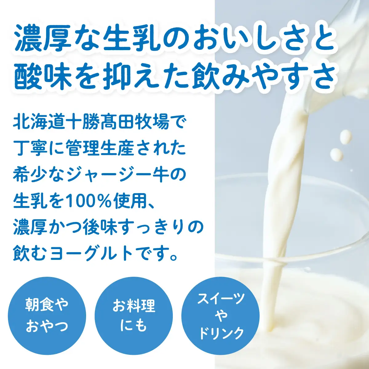 【定期3ヶ月】ジャージー飲むヨーグルト 500ml ×6 SKM031