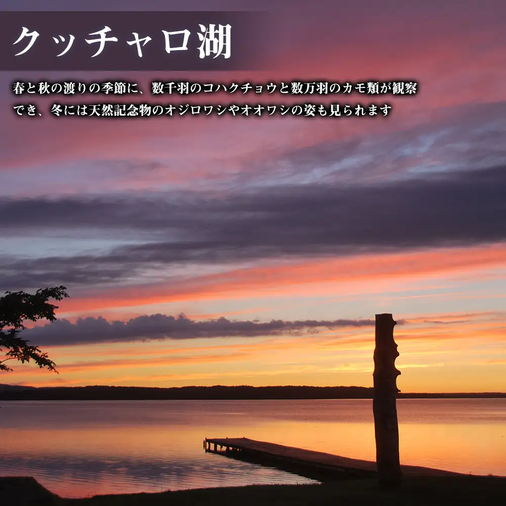 北海道 浜頓別町 ☆応援寄附金☆【返礼品なし】50,000円分 ふるさと納税 寄附のみ