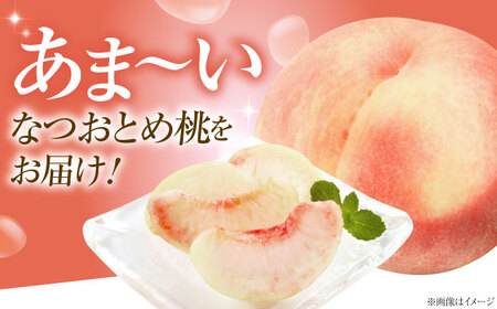 【先行予約】なつおとめ桃 10-12玉入り BKAD061 桃